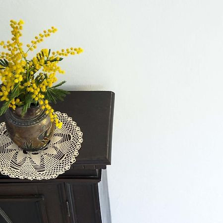 La Villa Nei Fiori Floransa Dış mekan fotoğraf