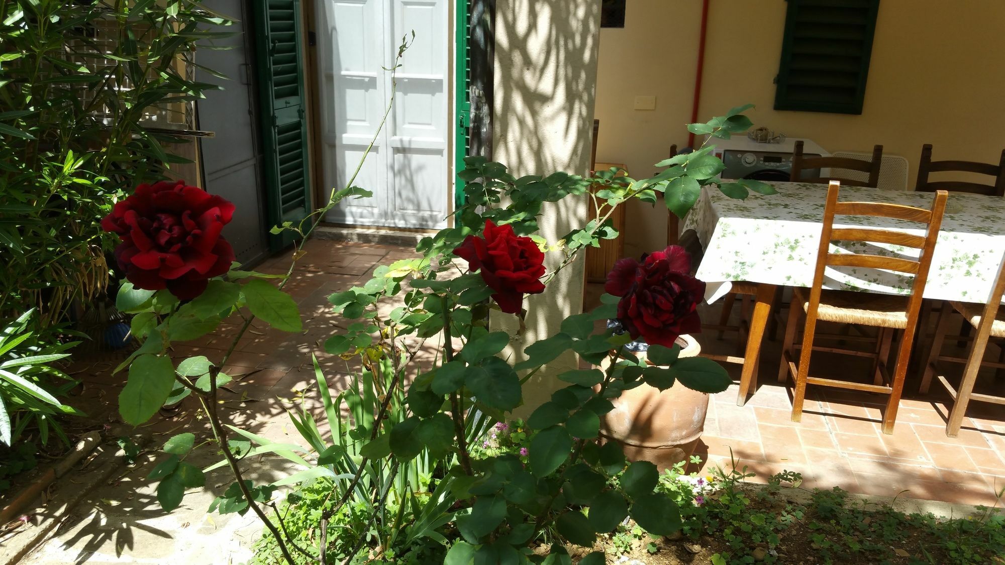 La Villa Nei Fiori Floransa Dış mekan fotoğraf
